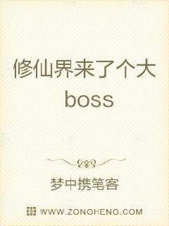 ɽ˸bossȫĶ